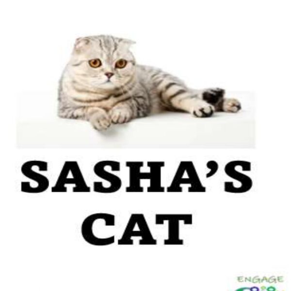 Sasha's Cat Level 7
