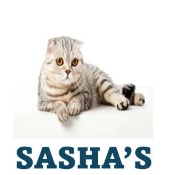 Sasha's Cat Level 6