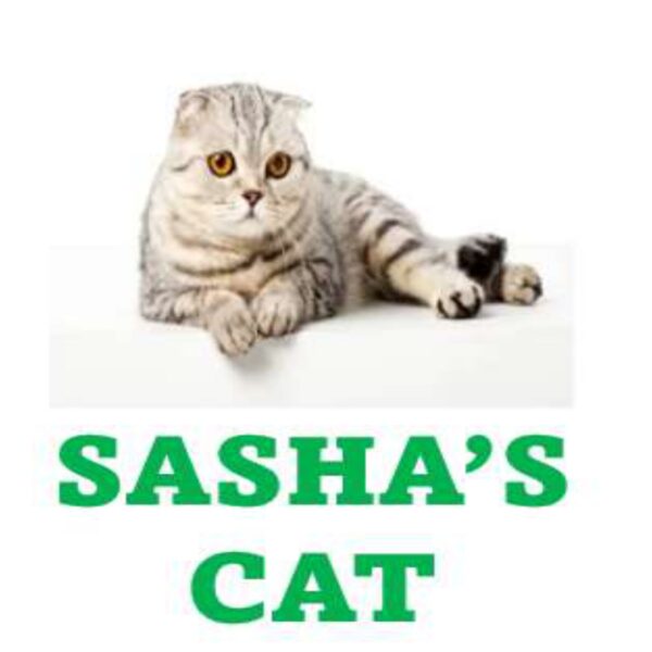Sasha's Cat Level 5