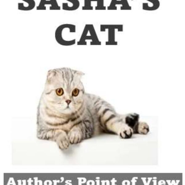 Sasha's Cat Level 4