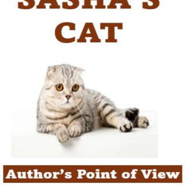 Sasha's Cat Level 3