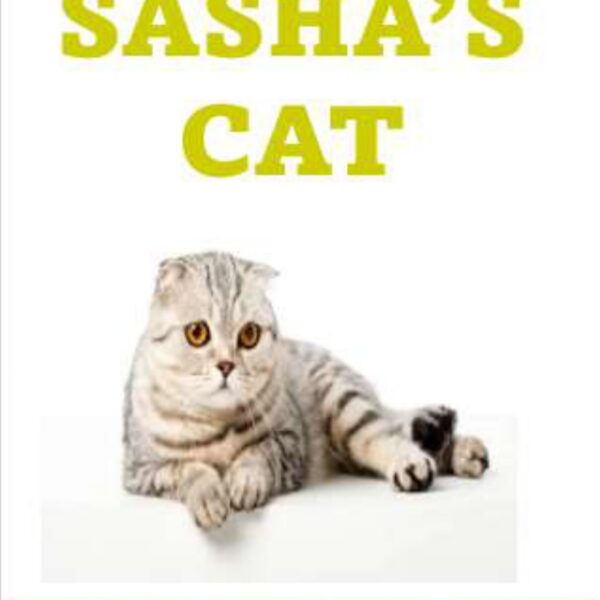 Sasha's Cat Level 2