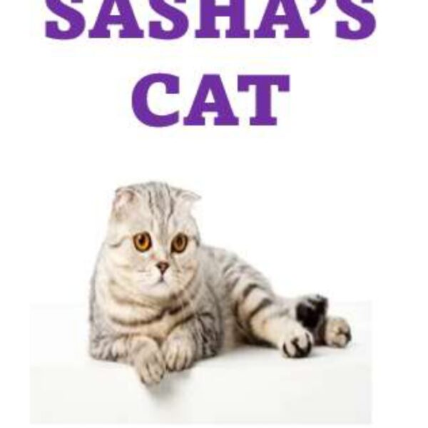 Sasha's Cat Level 1