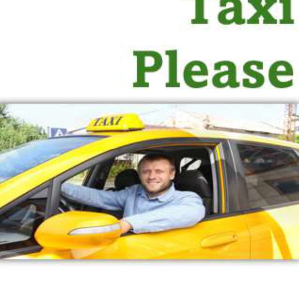 Taxi Please Level 5