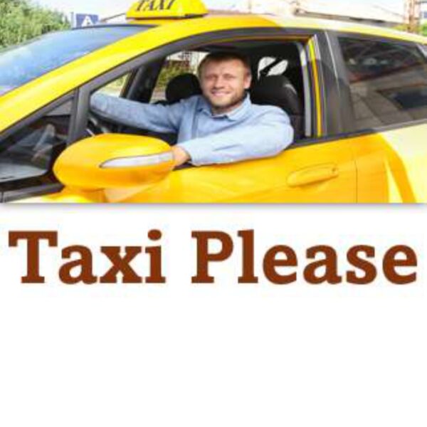 Taxi Please Level 3