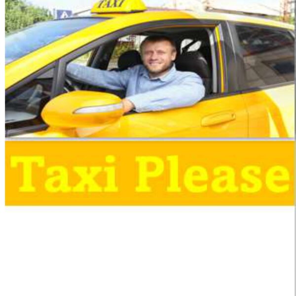 Taxi Please Level 2