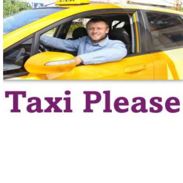Taxi Please Level 1