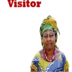 The Visitor
