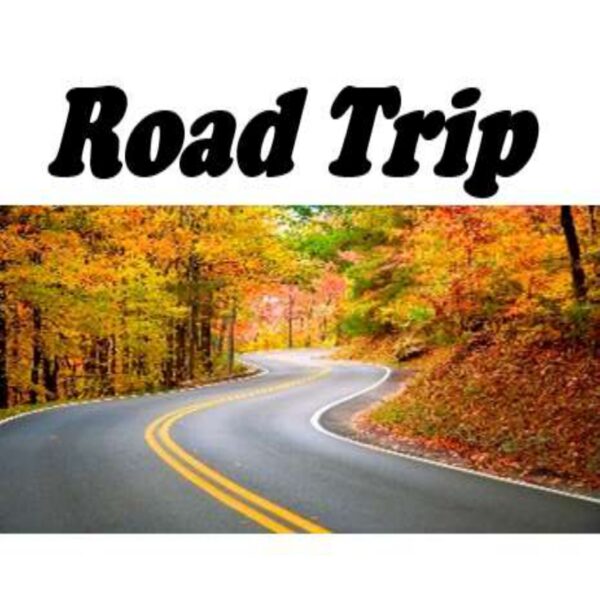 Road Trip Level 7
