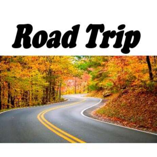 Road Trip Level 6
