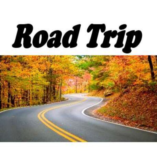 Road Trip Level 5