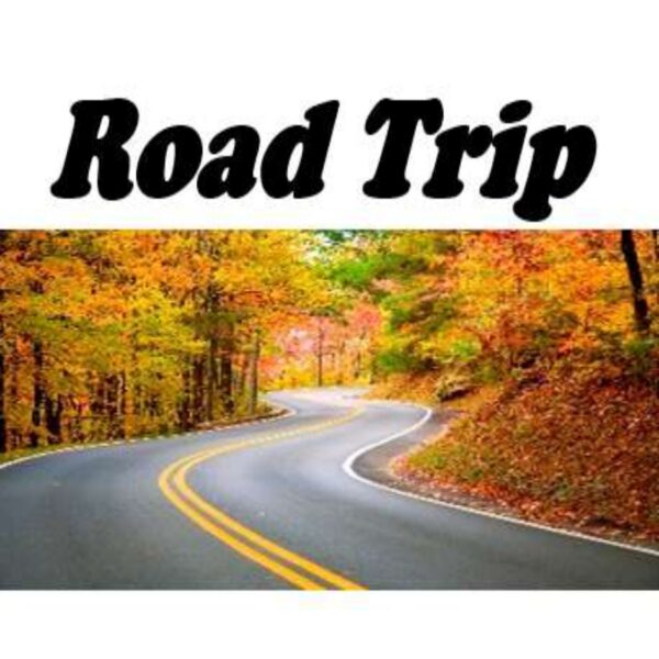 Road Trip Level 4