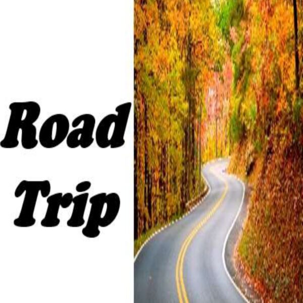 Road Trip Level 2