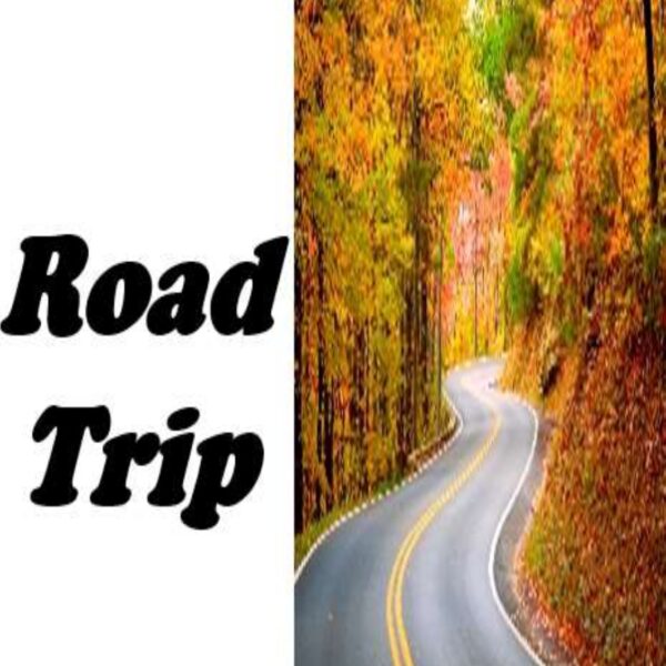 Road Trip Level 1