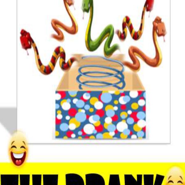 The Prank Level 2