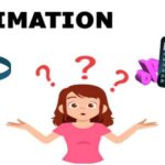 Estimation