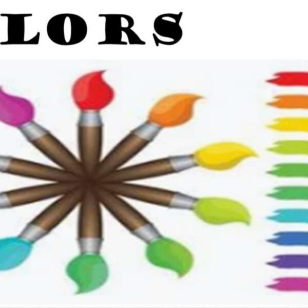 Colors Level 5