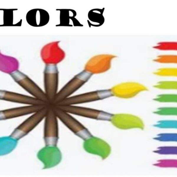 Colors Level 4