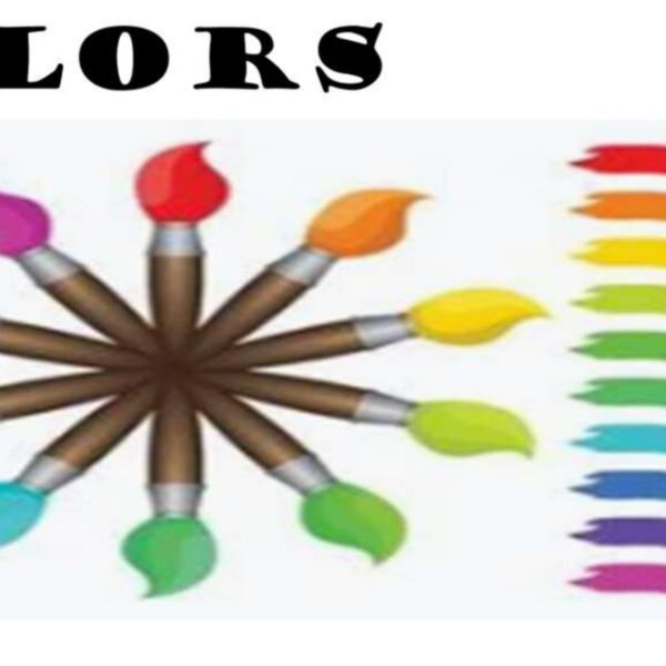 Colors Level 2