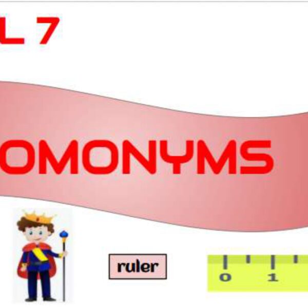 Homonyms Level 7