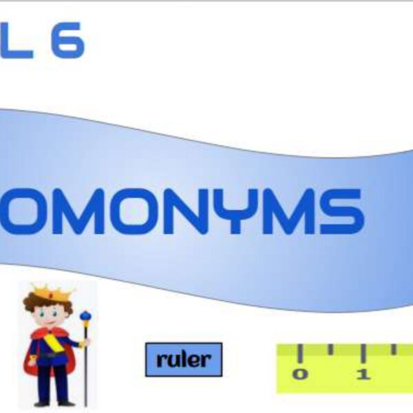 Homonyms Level 6