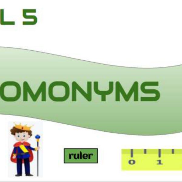 Homonyms Level 5