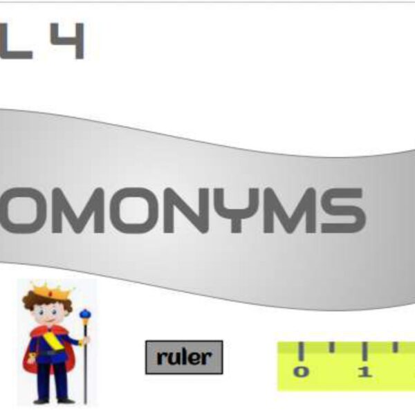 Homonyms Level 4