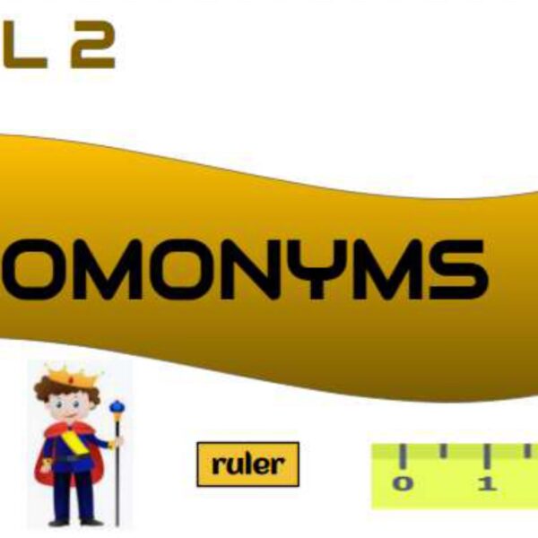 Homonyms Level 2