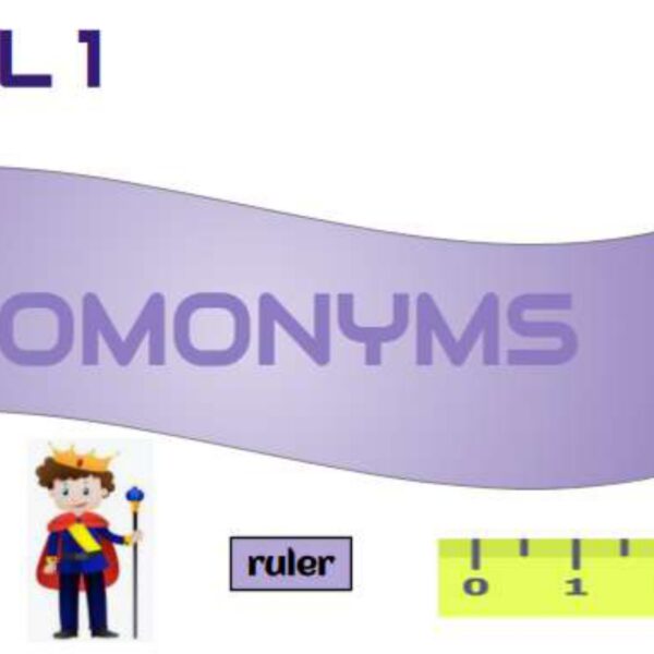 Homonyms Level 1