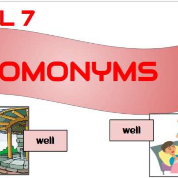 Homonyms 2 Level 7