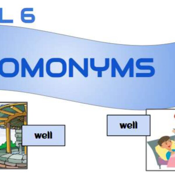 Homonyms 2 Level 6