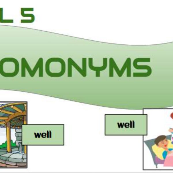 Homonyms 2 Level 5
