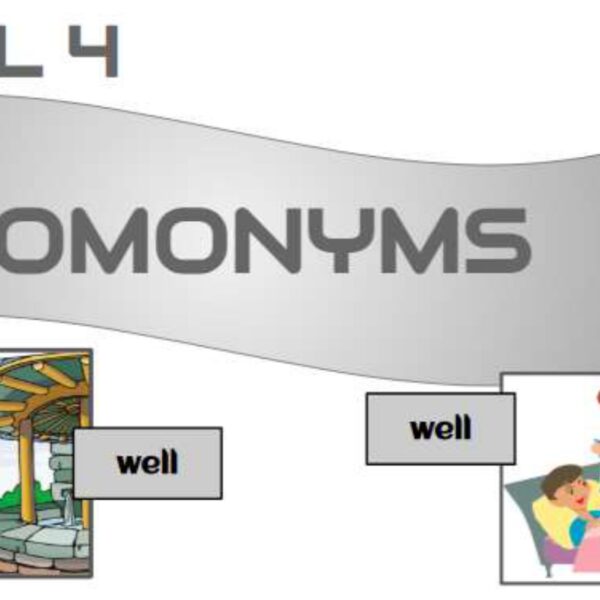 Homonyms 2 Level 4