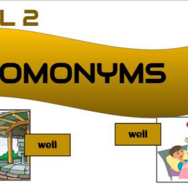 Homonyms 2 Level 2