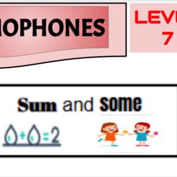 Homophones 1 Level 7