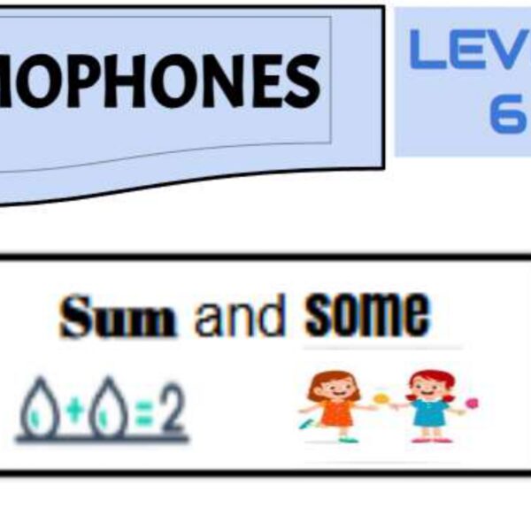 Homophones 1 Level 6