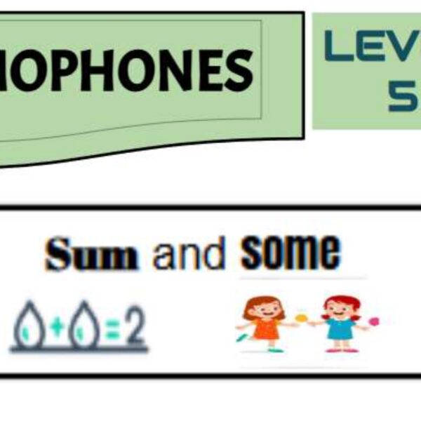 Homophones 1 Level 5