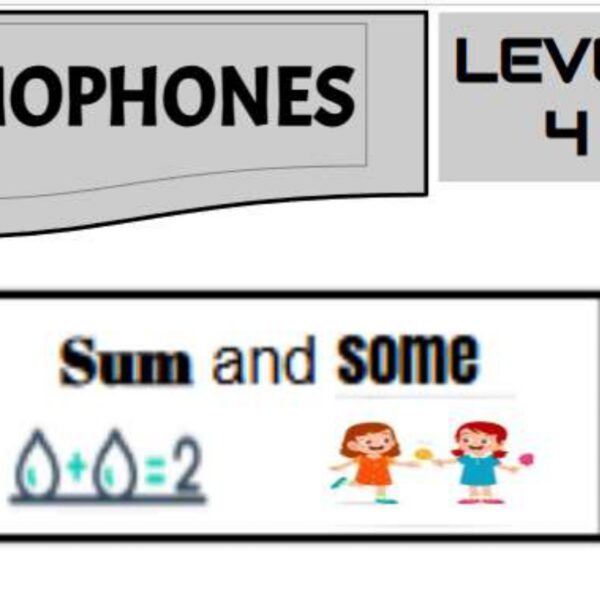 Homophones 1 Level 4