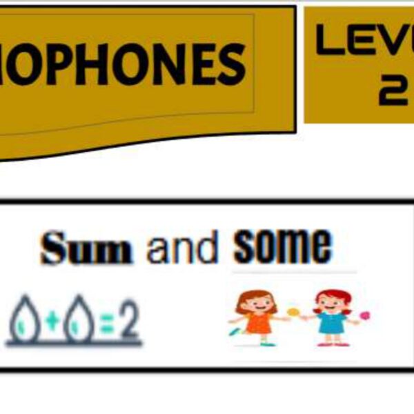 Homophones 1 Level 2