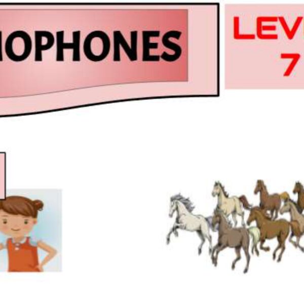 Homophones 2 Level 7