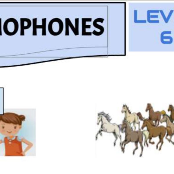 Homophones 2 Level 6