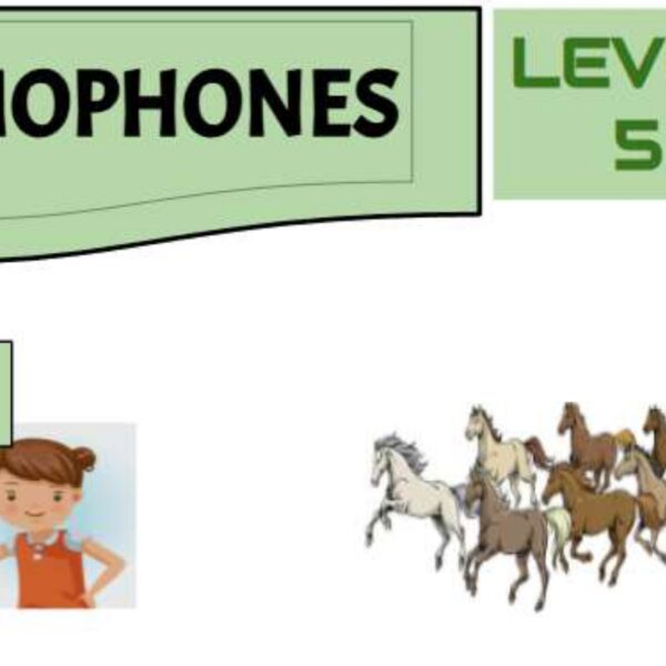 Homophones 2 Level 5