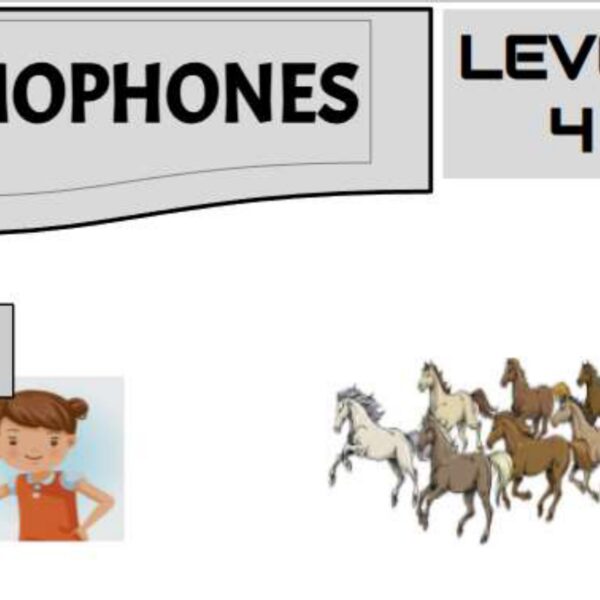 Homophones 2 Level 4