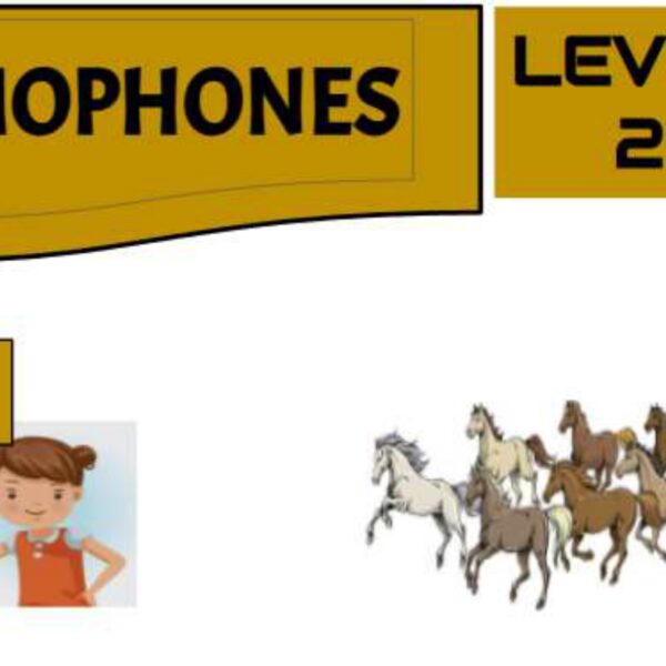 Homophones 2 Level 2