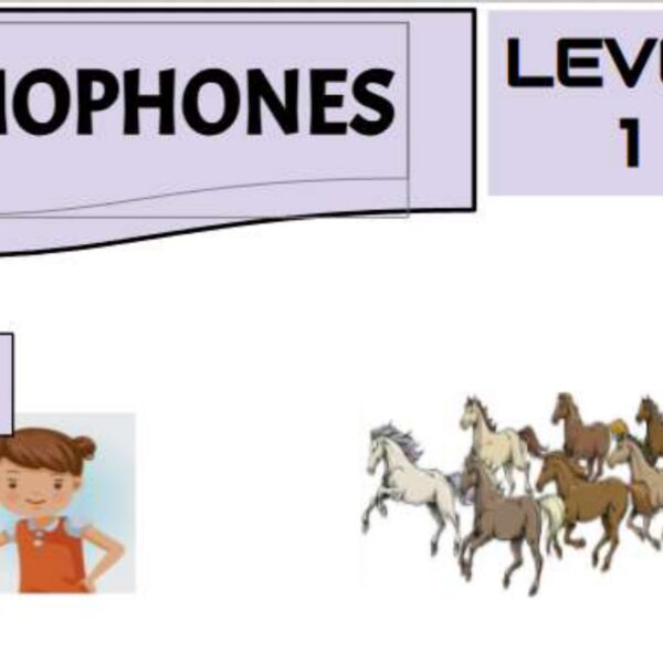 Homophones 2 Level 1