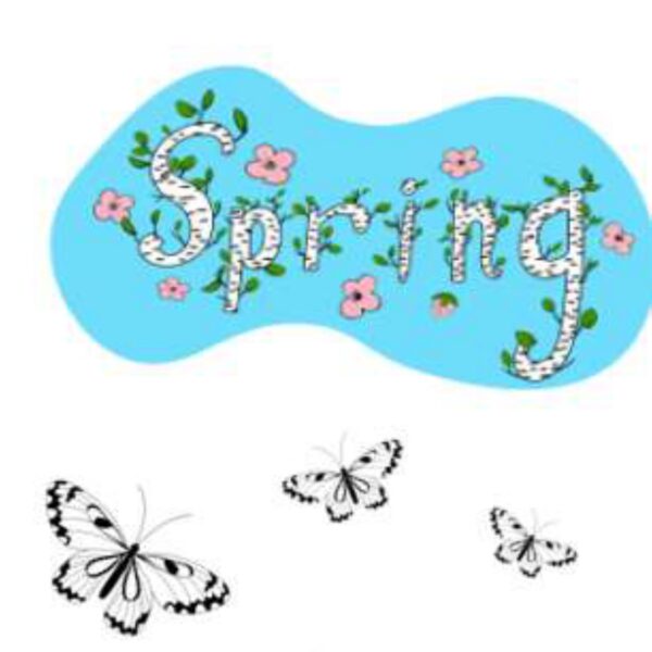 Spring Level 6