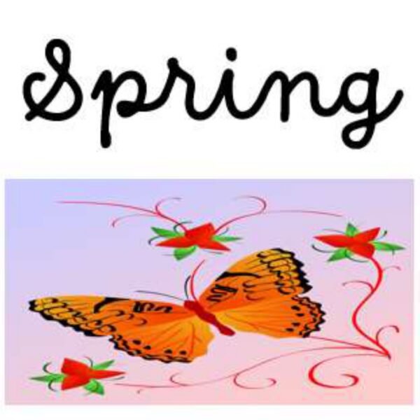 Spring Level 4