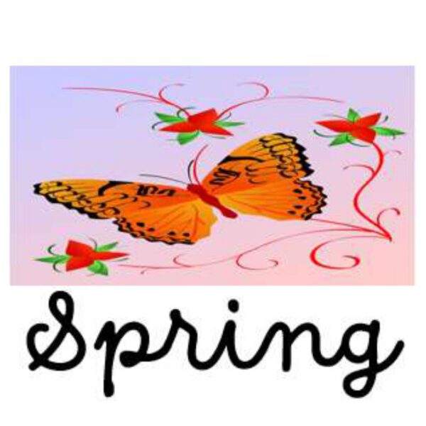 Spring Level 3