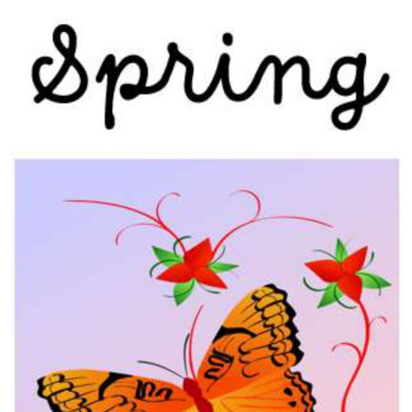 Spring Level 1
