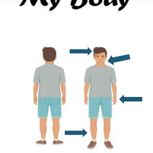 My Body Level 7